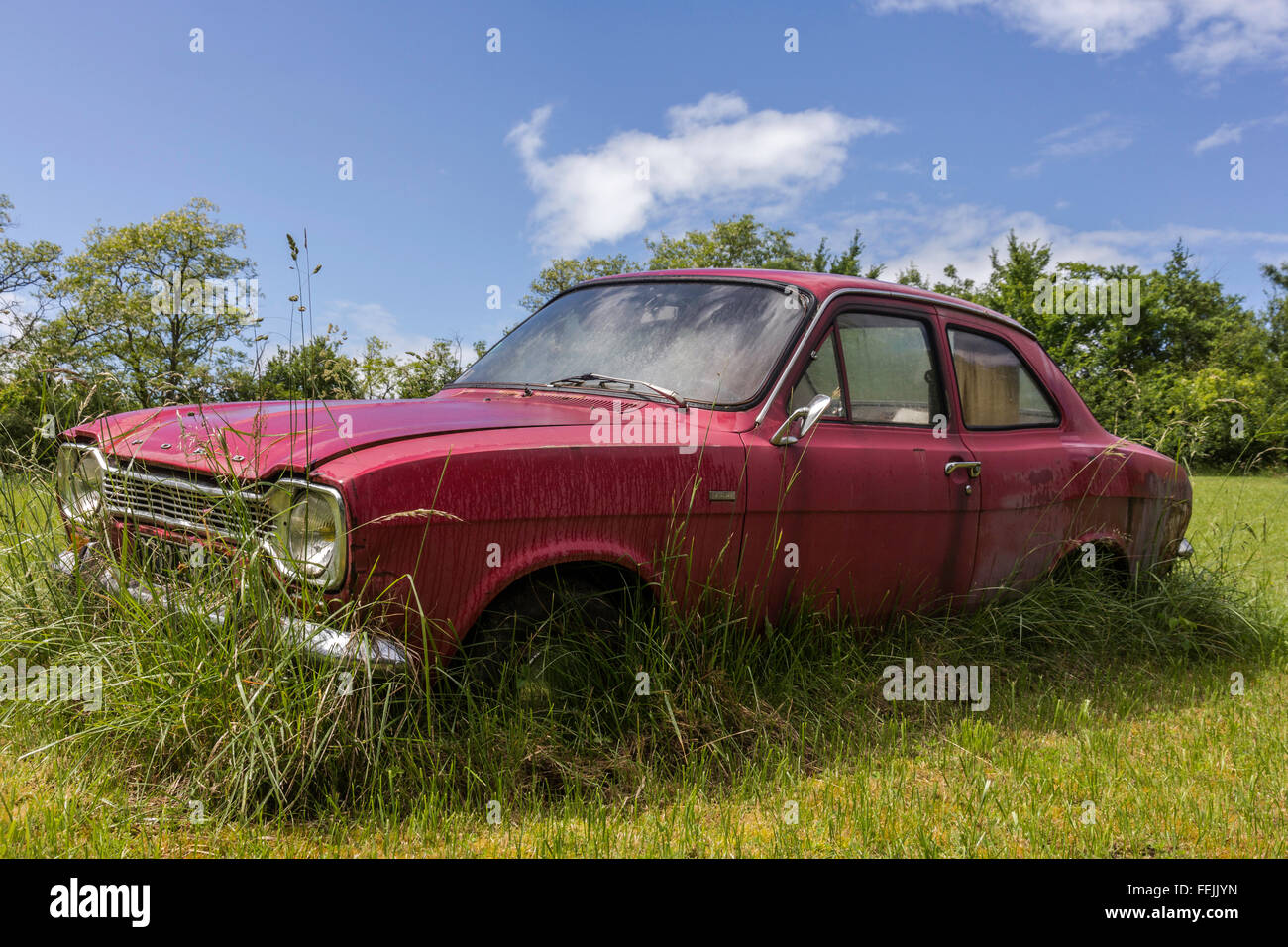 Verlassene Ford Escort MK1 Stockfoto