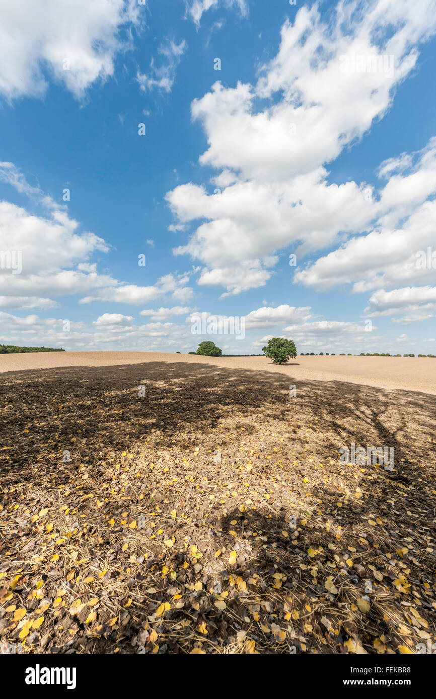 Deutsches Ackerland Stockfotos & Deutsches Ackerland Bilder - Alamy