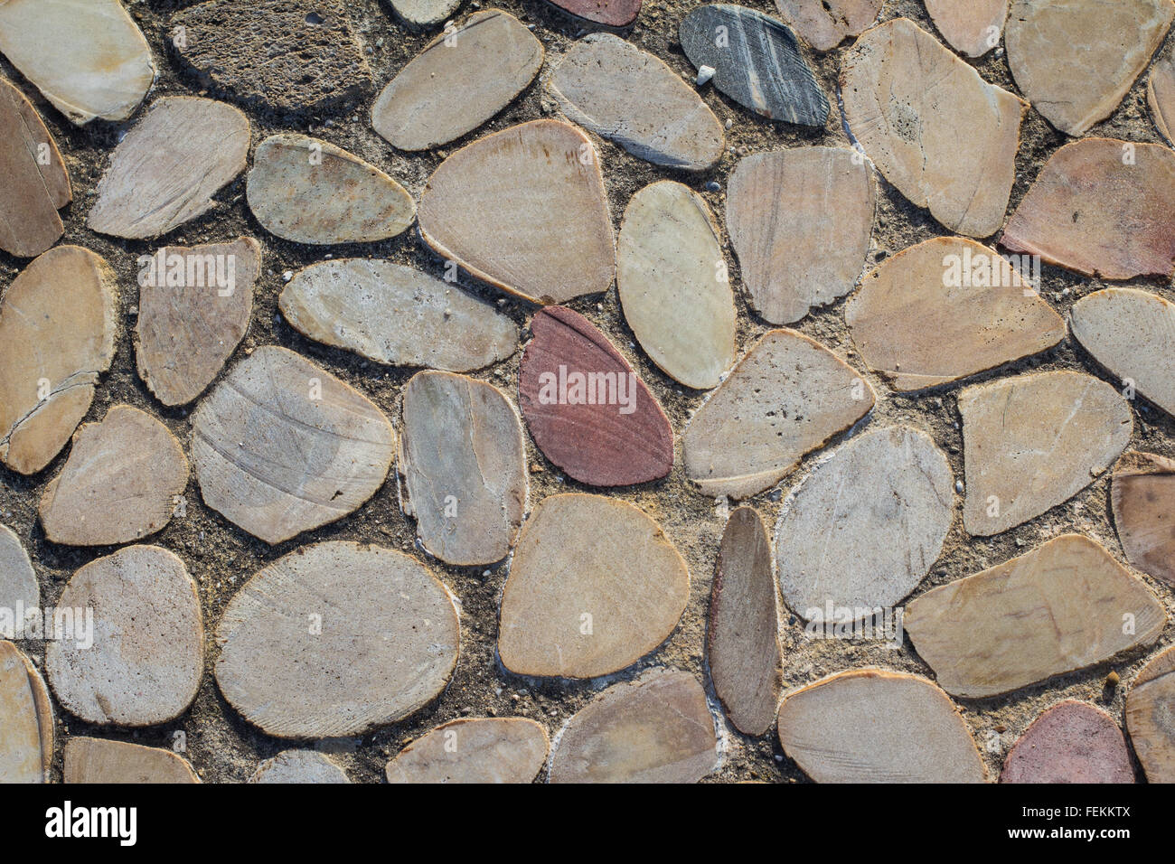 Muster der Oval geformten Pflaster Steinen Stockfoto