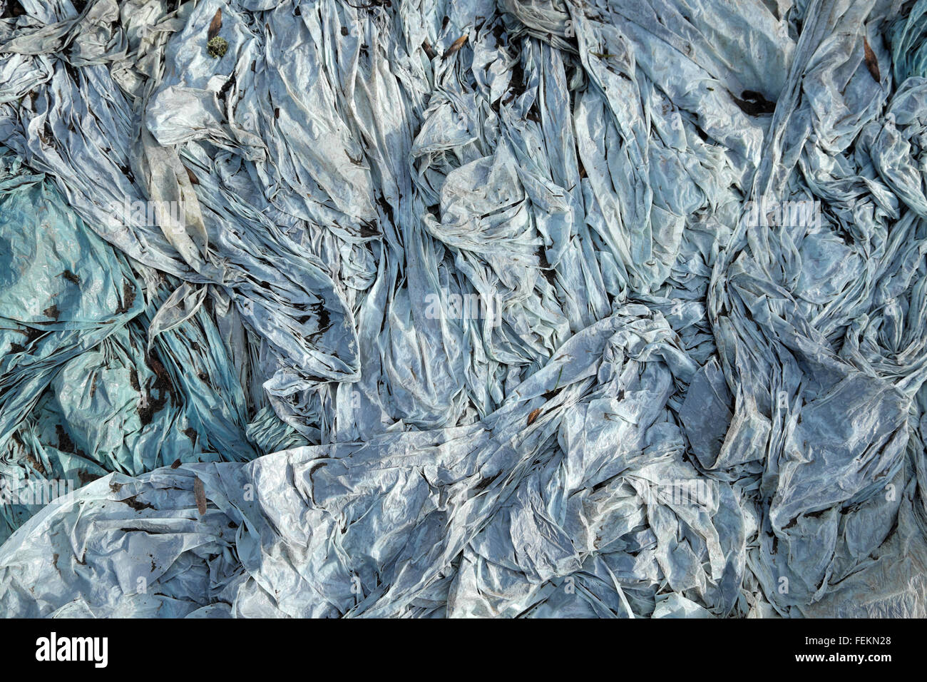 Blaue Silage Kunststoff abstrakten Hintergrund Wales UK KATHY DEWITT Stockfoto