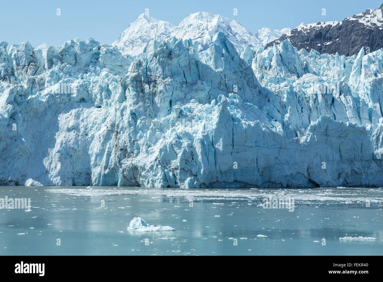 Alaskas Glacier Bay National Park and Preserve Stockfoto