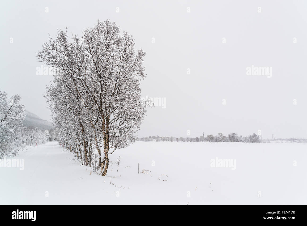 Winter in Norwegen Stockfoto