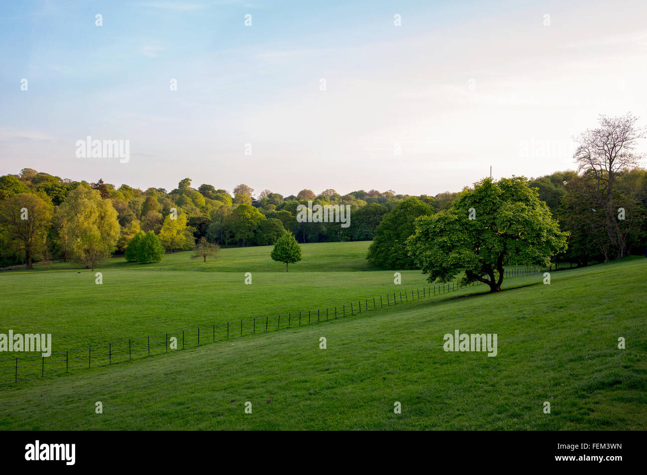 ein Blick auf Kenwood Parks Landschaft bei Sonnenuntergang Stockfoto