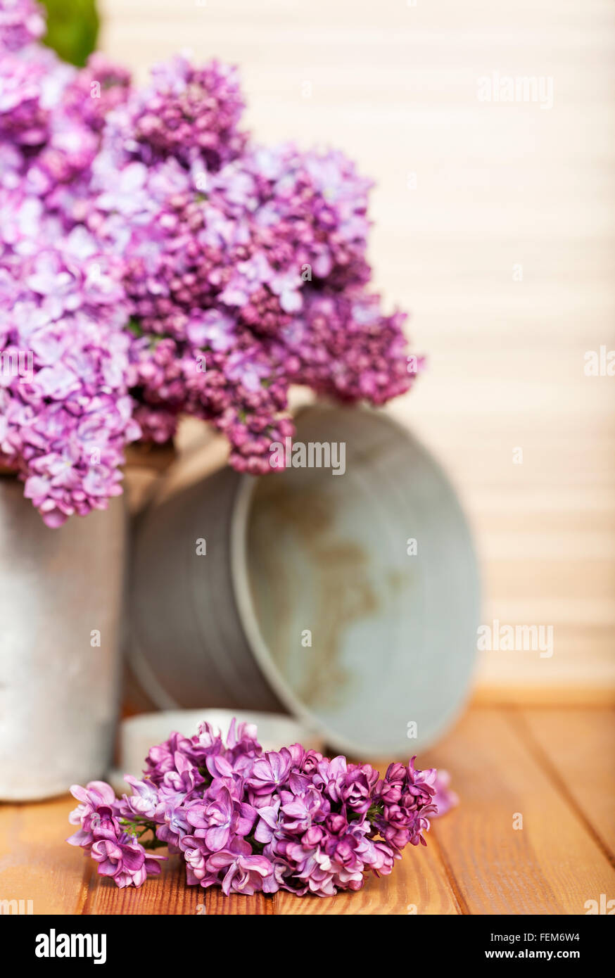 Stilleben mit Flieder Zweig und Blüte Stockfoto