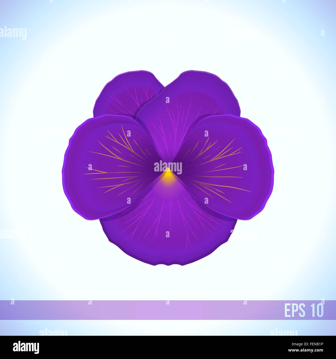 Vektor-Kopf violett Viola Blume Stock Vektor