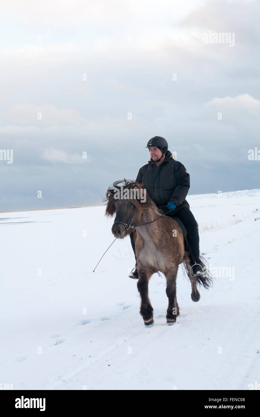 Mann Reitpferd in Südisland, Stokknes, Vestrahorn, Hofn im Januar Stockfoto