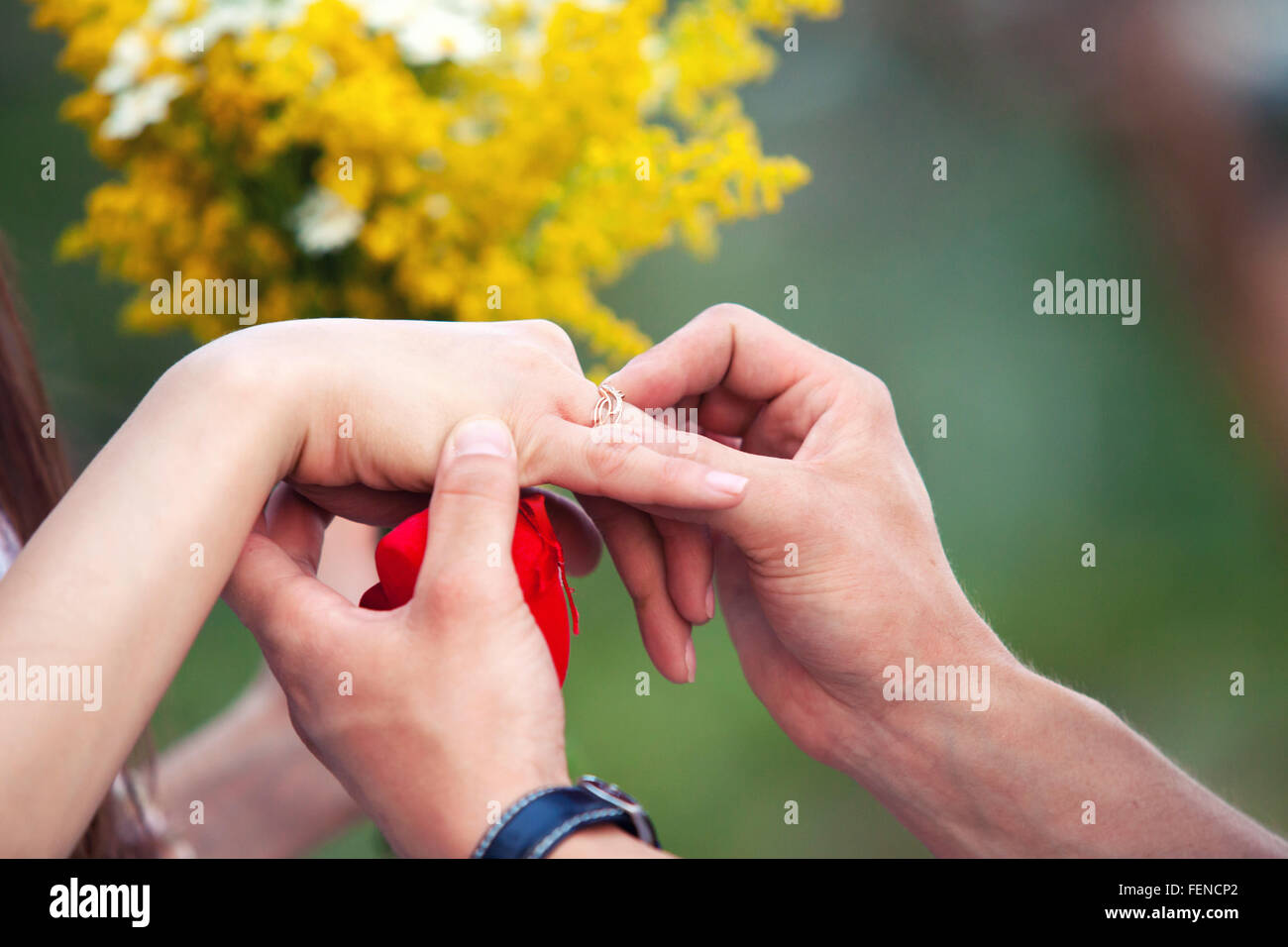 der Bräutigam Kleider nicht Gewicht einen Ring am Finger auf Hochzeit-Registrierung Stockfoto