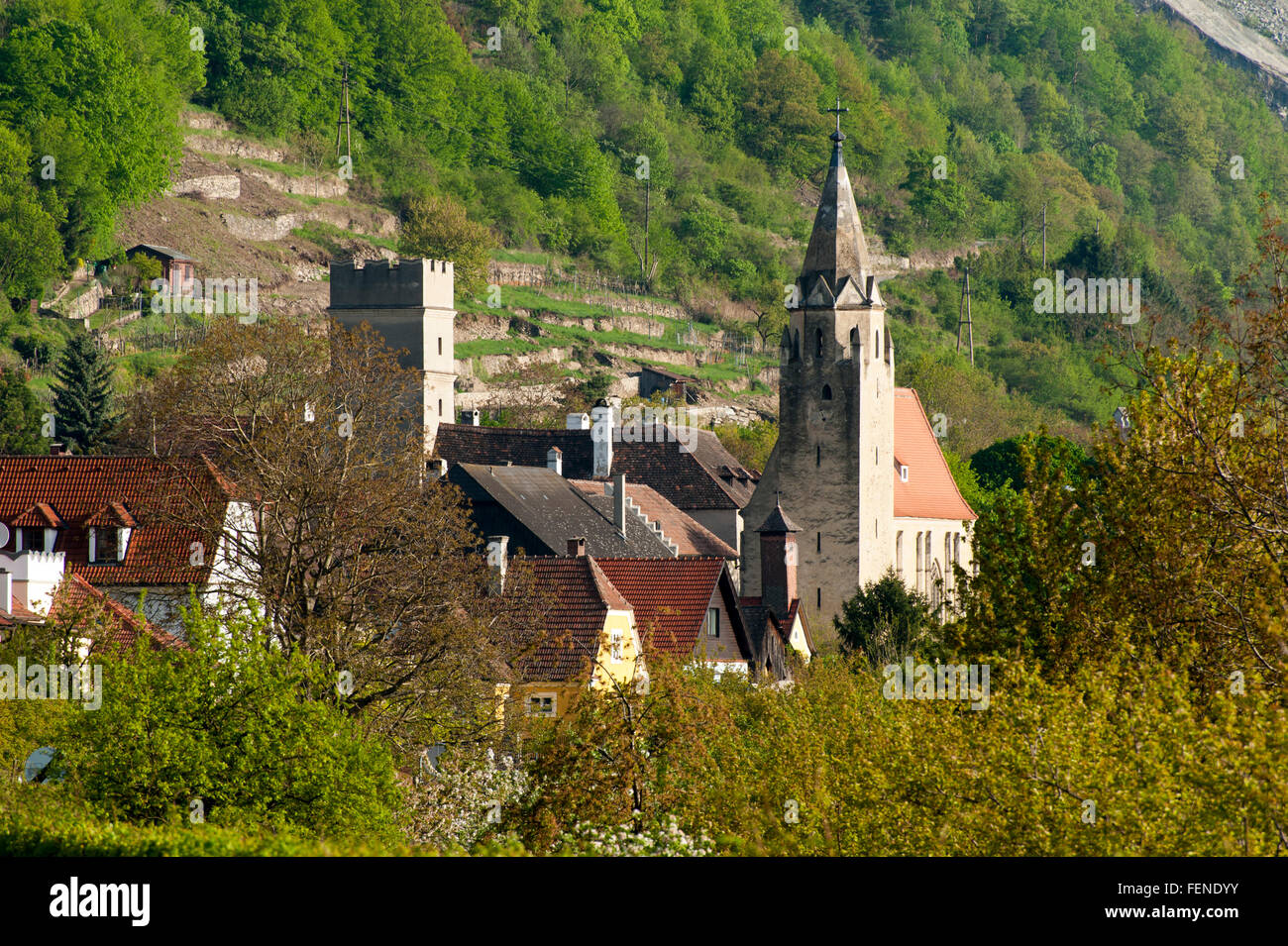 Kirche, Schwallenbach auf der Donau, UNESCO-Welterbe Kulturlandschaft Wachau, Niederösterreich, Österreich Stockfoto