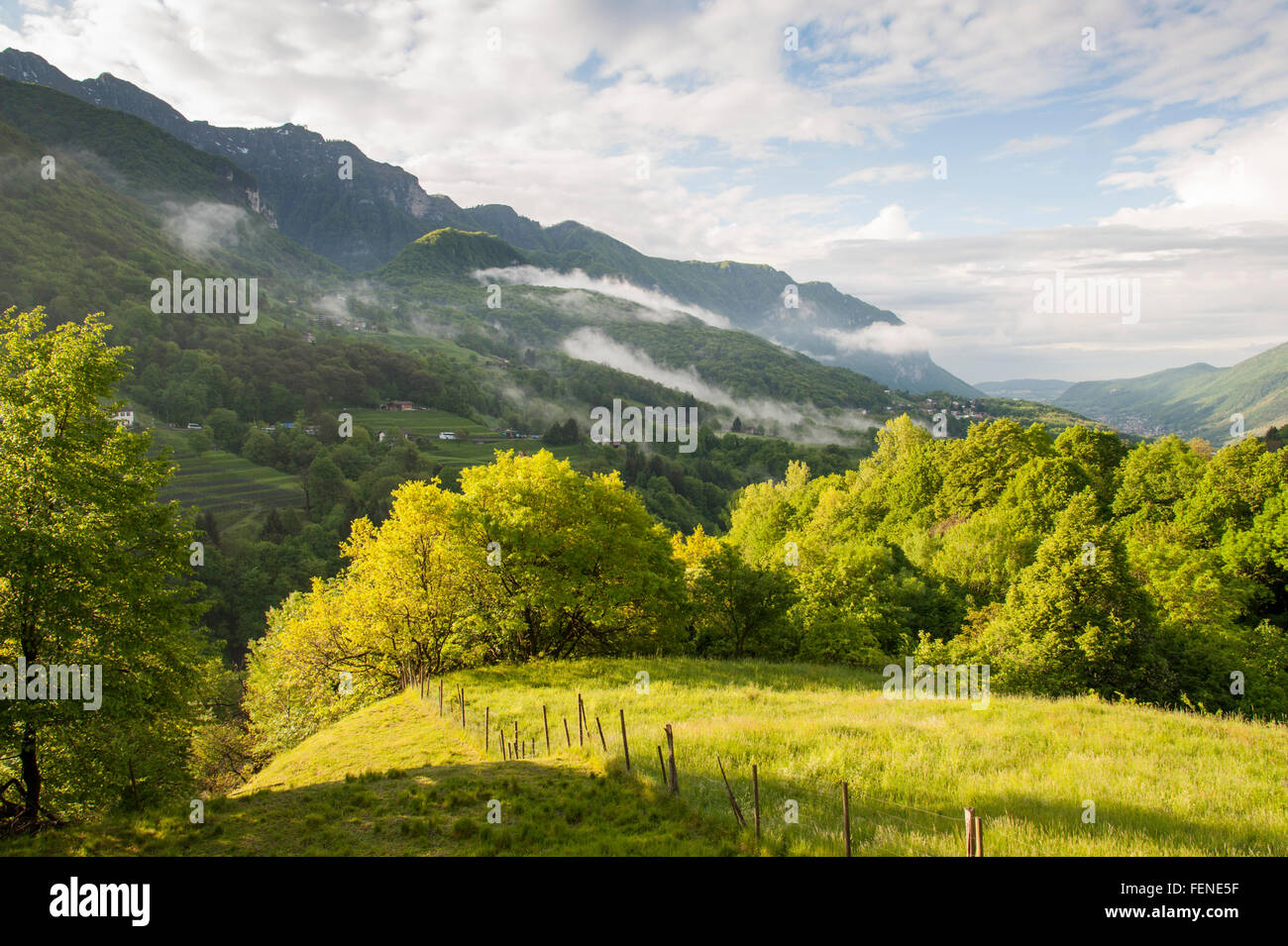 Berge und Wälder rund um Arogno, UNESCO World Heritage Site Monte San Giorgio, Tessin, Schweiz Stockfoto
