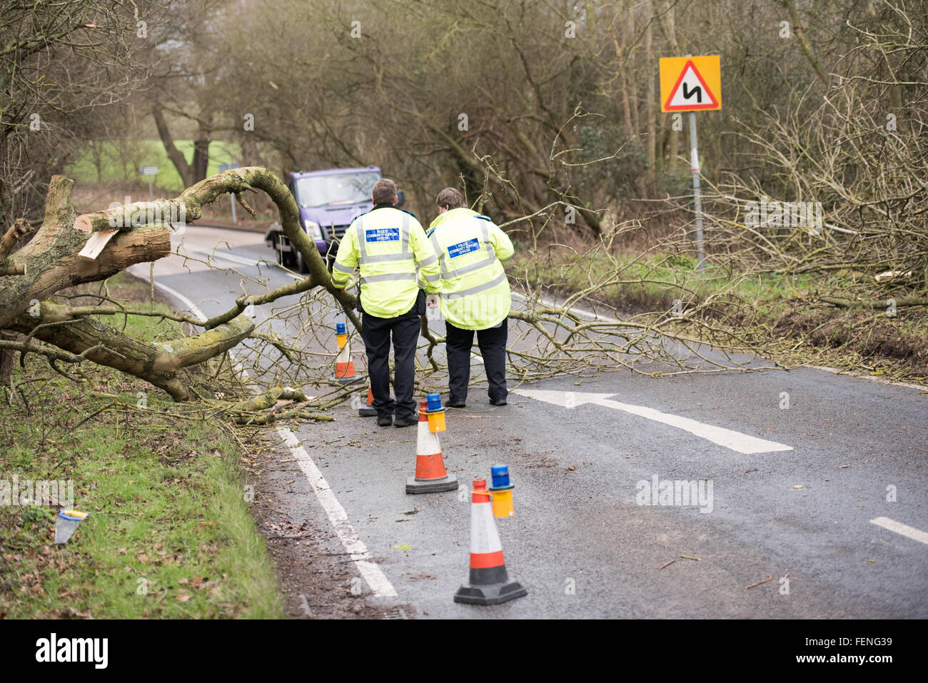 Brentwood Essex, 8. Februar 2016, Baum blockiert Straße bei der Weald Park Credit: Ian Davidson/Alamy Live News Stockfoto
