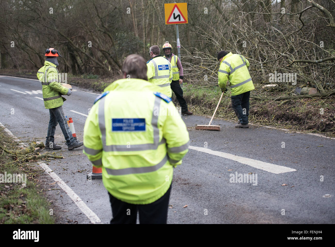 Brentwood, Essex, 8. Februar 2016, der Polizei und Baum-Chirurgen und Polizei arbeiten zum umgestürzten Baum von Hauptstraße Kredit löschen: Ian Davidson/Alamy Live News Stockfoto