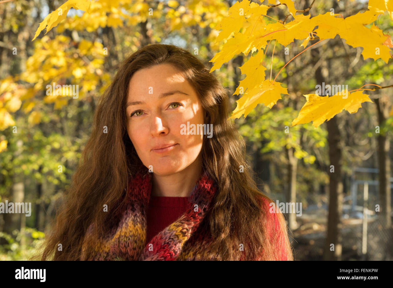Frau mit braunen Haaren im herbstlichen Wald. Mit roten Pullover und Schal bunt gekleidet. Stockfoto