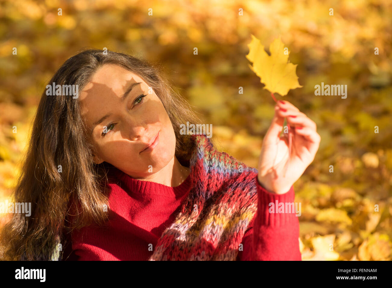 Frau mit braunen Haaren im herbstlichen Wald hält eine gelbe Ahornblatt mit Schatten auf dem Gesicht Stockfoto