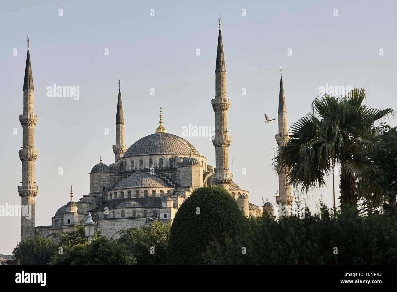 Kuppel und Minarette der Sultan Ahmed Mosque, Istanbul, Türkei Stockfoto