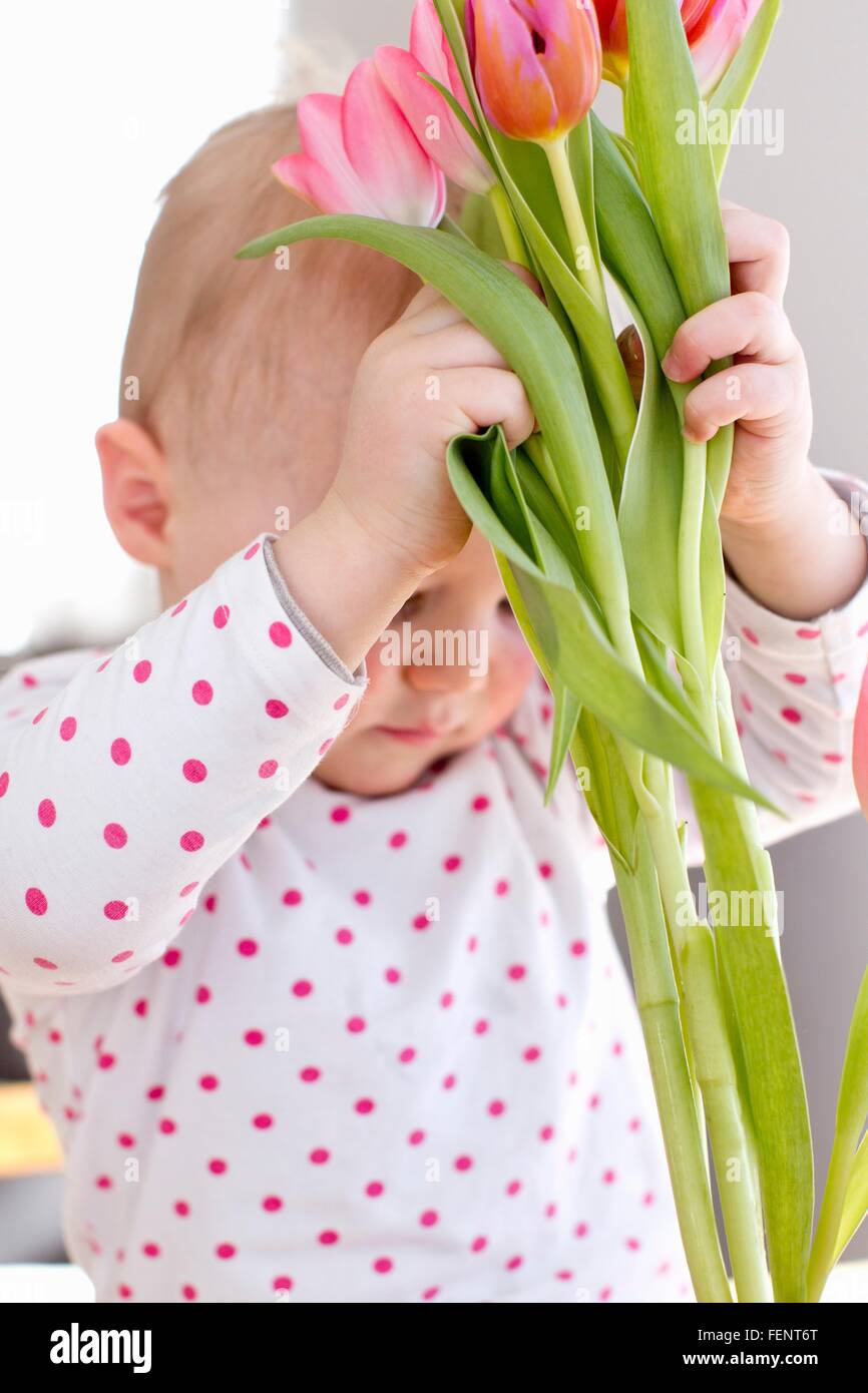 Weiblichen Kleinkind heben Sie Bündel von Tulpen Stockfoto