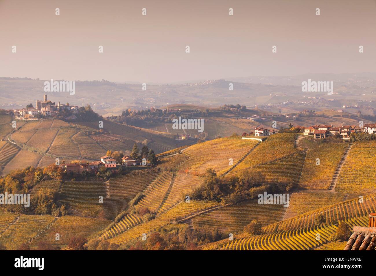 Erhöhten Landschaft mit herbstlichen Weinberge und Hügeldörfer, Langhe, Piemont, Italien Stockfoto