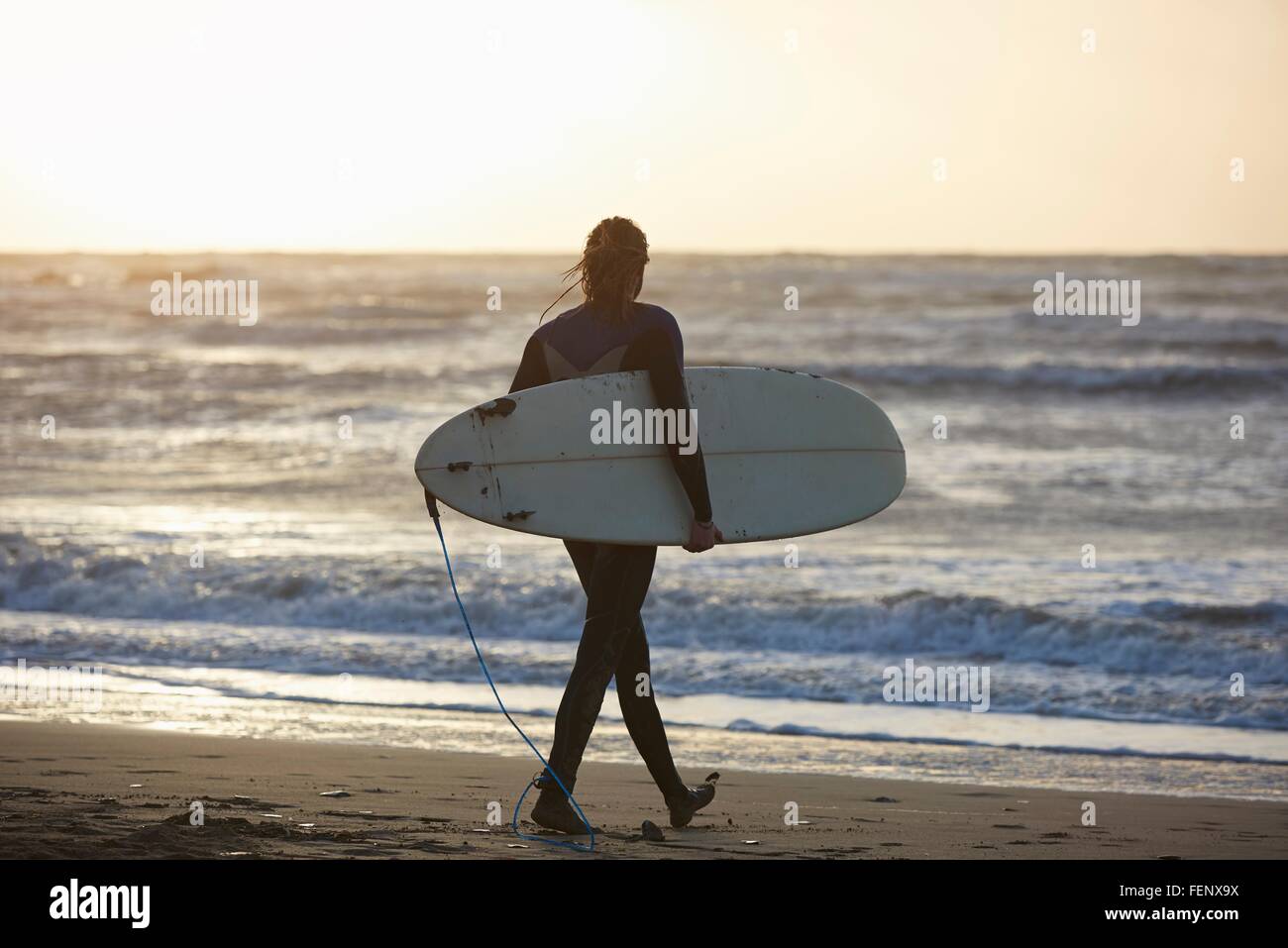 Junge männliche Surfer zu Fuß am Strand tragen Surfbrett, Devon, England, UK Stockfoto