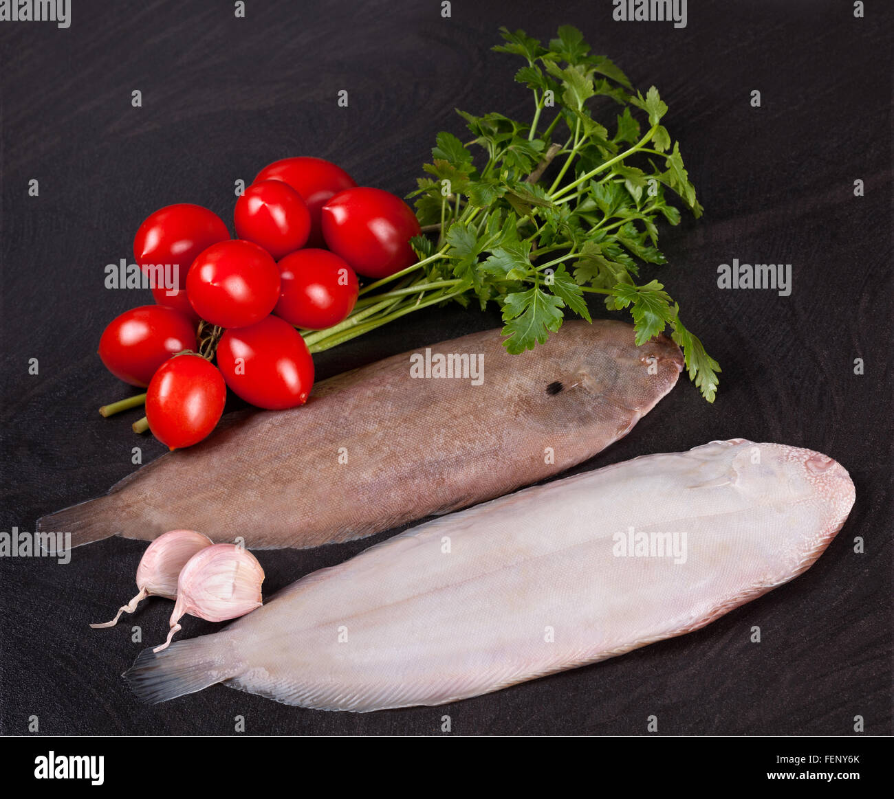 Seezunge isoliert -Fotos und -Bildmaterial in hoher Auflösung – Alamy