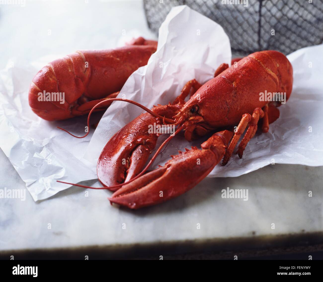 Zwei ganz nassen frischen Hummer auf Papier und Marmor Stockfoto
