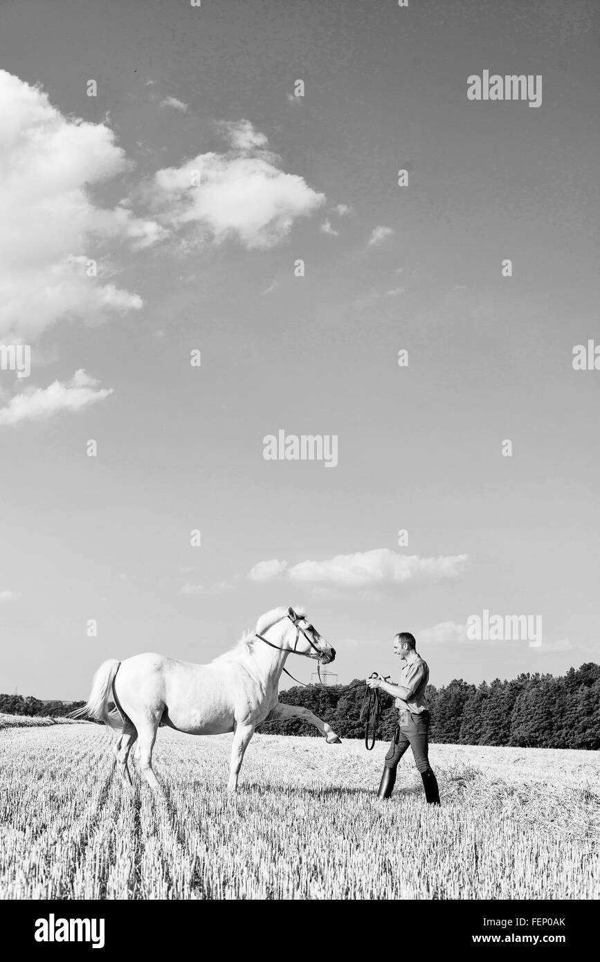 B&W Bild von Mann Training weißen Pferd im Feld Stockfoto
