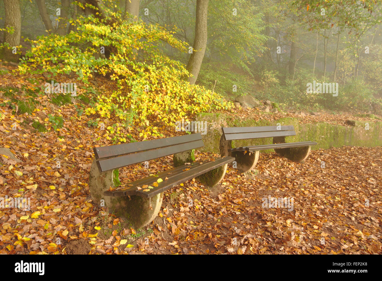 Zwei Bänke im Herbst mit bunten Blättern, Cloef, Mettlach, Deutschland Stockfoto