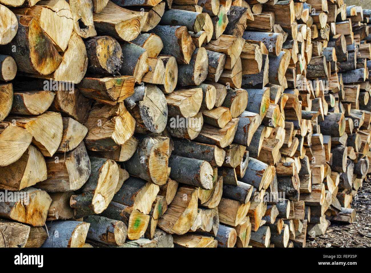 Holzschnitt auf dem Betriebshof des Protokolls und zum Verkauf bereit. Stockfoto