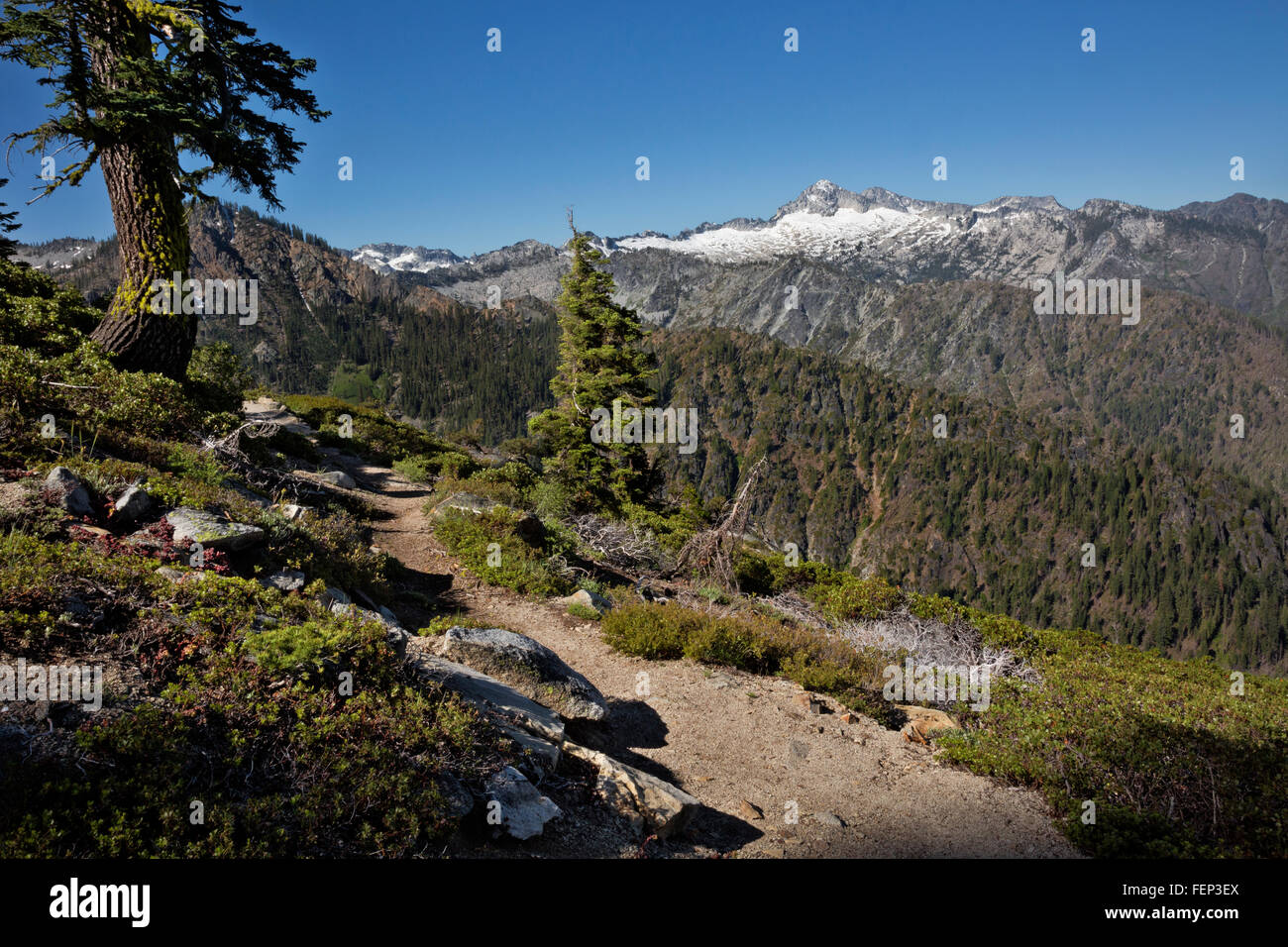 Kalifornien - Thompson Peak von Caribou Lakes Trail in der Trinity Alpen Wildnis des Shasta-Dreiheit National Forest. Stockfoto
