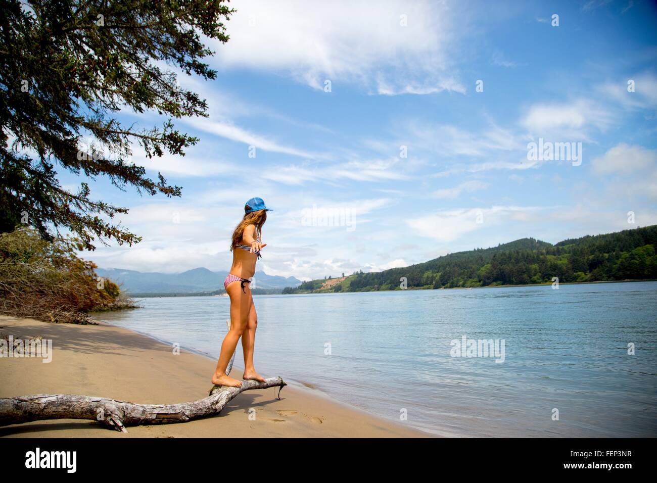 Junge Frau trägt Bikini balancieren auf Ast am Strand, Nehalem Bay, Oregon, USA Stockfoto Junge Frau trägt Bikini balancieren auf Ast am Strand, Nehalem Bay, Oregon, USA Stockfoto