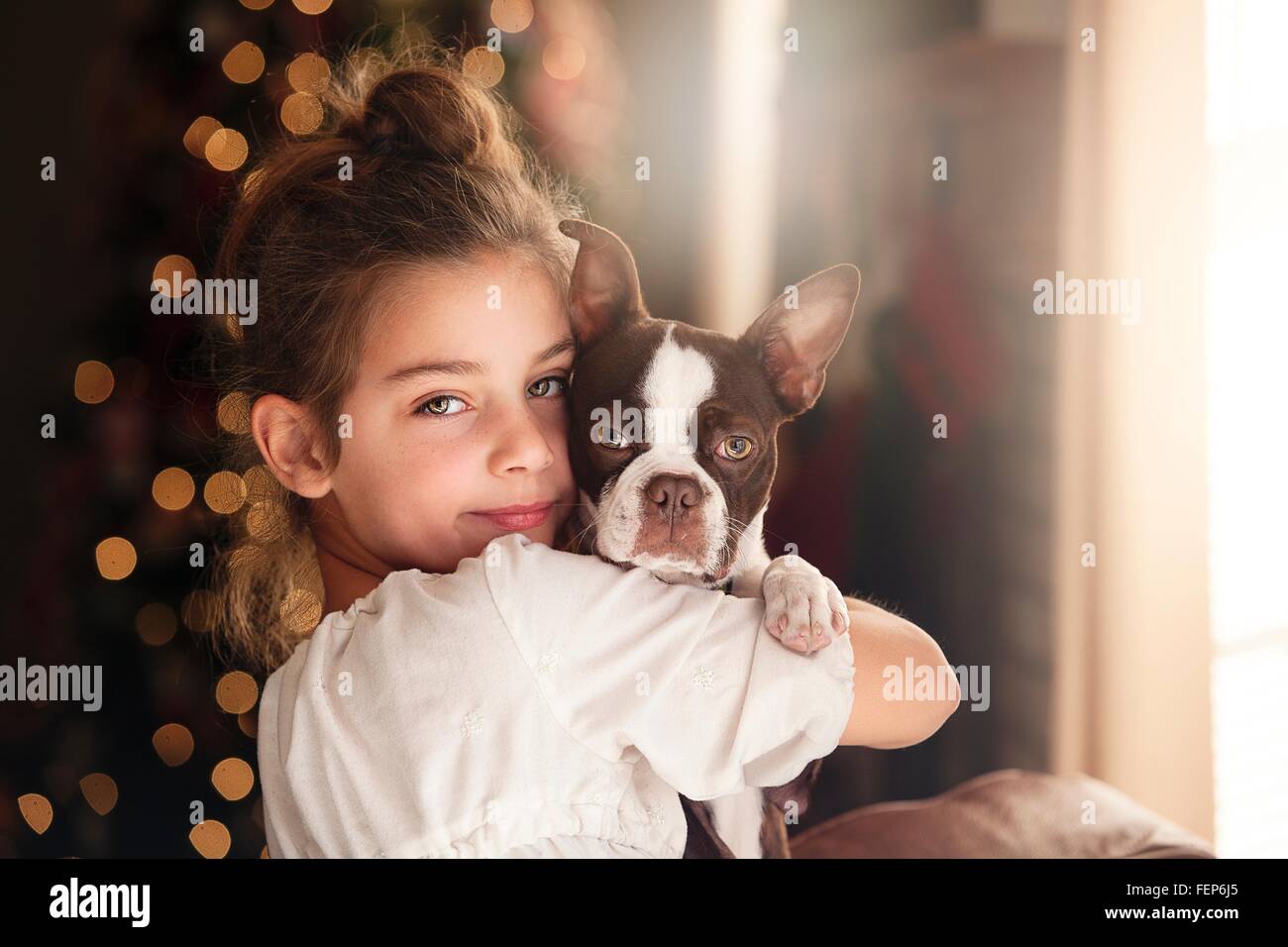 Porträt von Mädchen und Boston Terrier vor Weihnachtsbaum Stockfoto