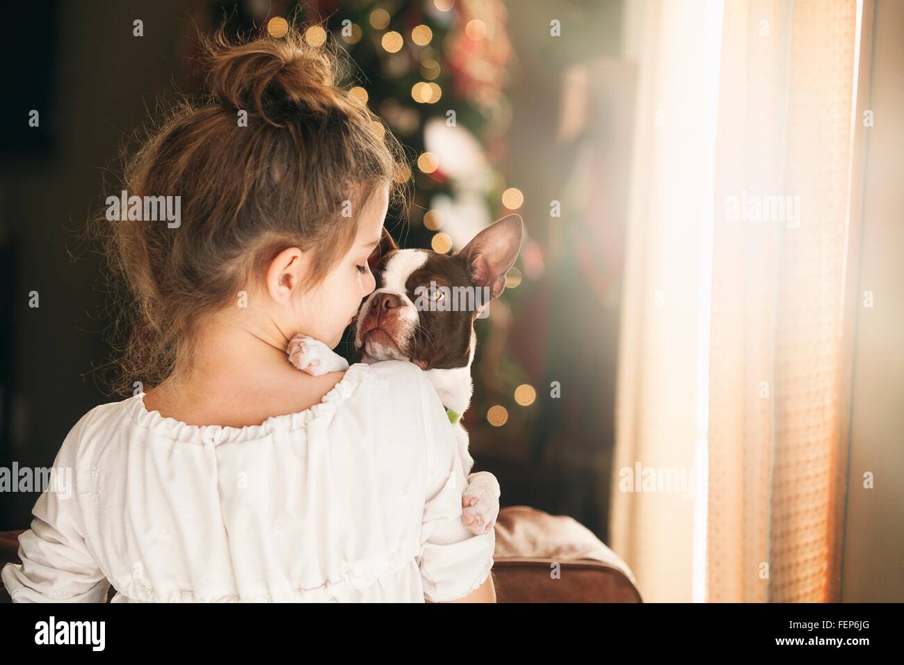 Rückansicht des Mädchens tragen Boston Terrier vor Weihnachtsbaum Stockfoto