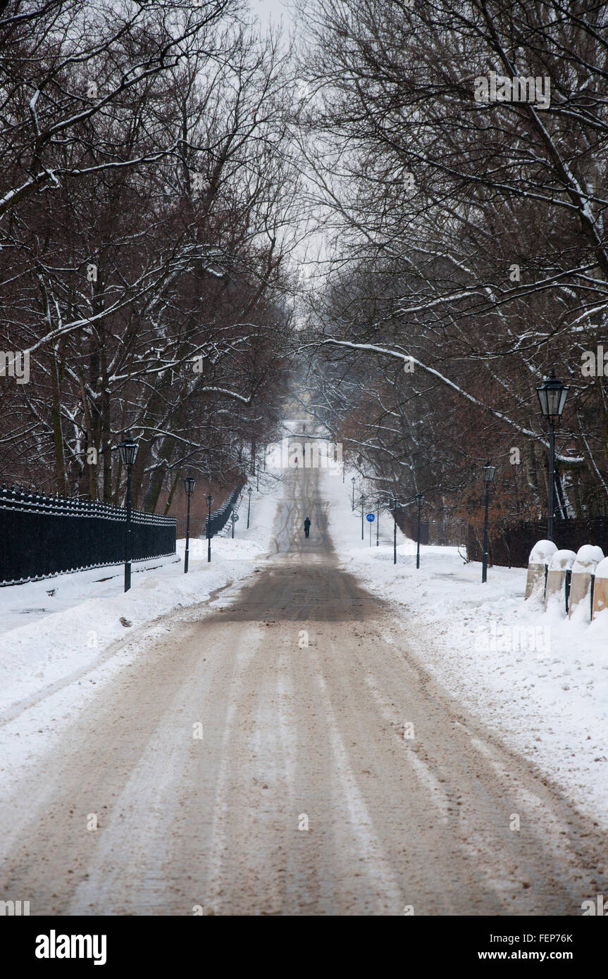 Straße im Schnee Stockfoto