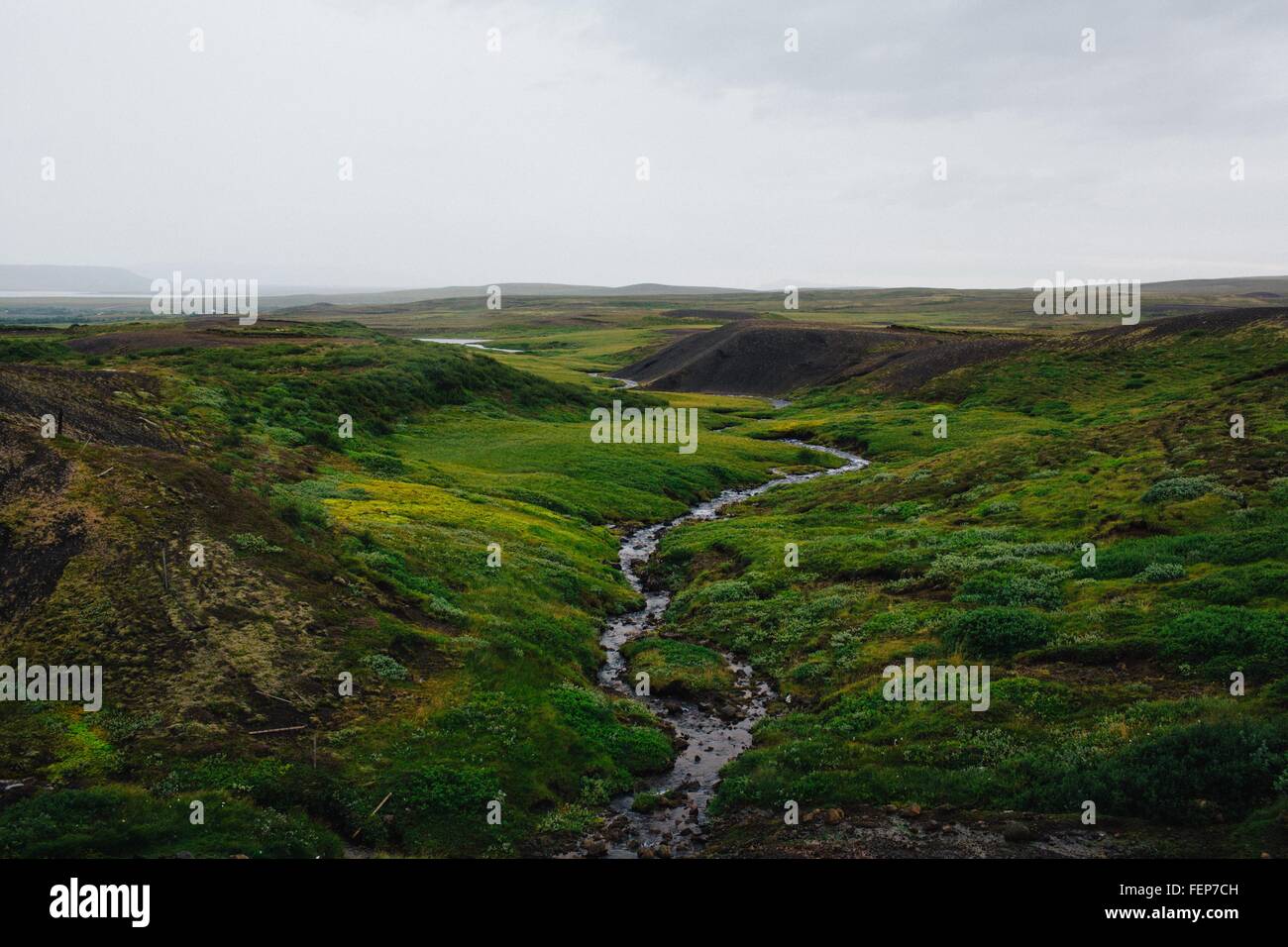 Vogelperspektive Blick auf Fluss schlängelt sich durch üppige grüne Felder, Island Stockfoto