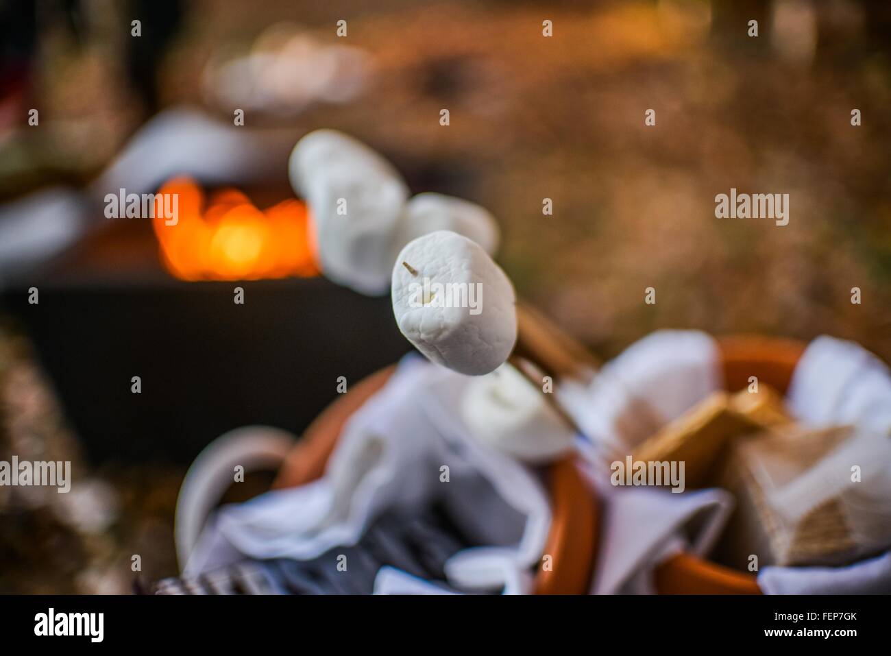 Nahaufnahme von Marshmallow-Sticks Wald Lagerfeuer in der Dämmerung Stockfoto