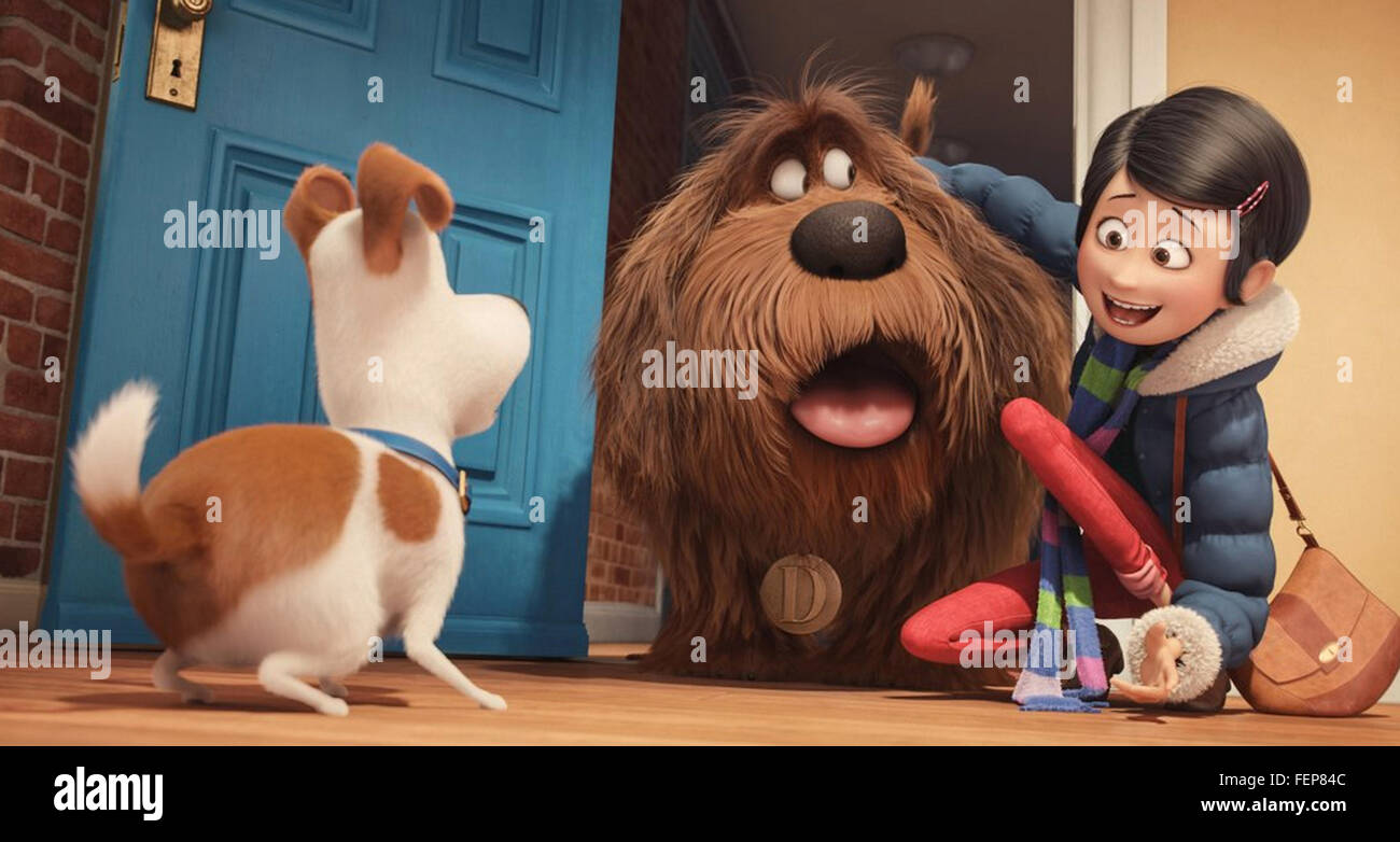 Das geheime Leben der Haustiere 2016 Universal Pictures animation Stockfoto