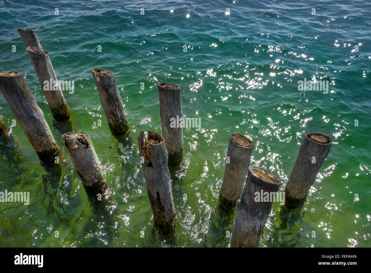 Old wooden posts in water Fotos und Bildmaterial in hoher Auflösung