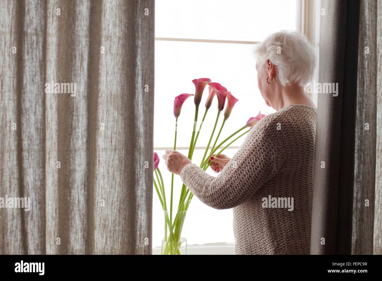 Ältere Frau arrangieren Blumen in Vase, Rückansicht Stockfoto