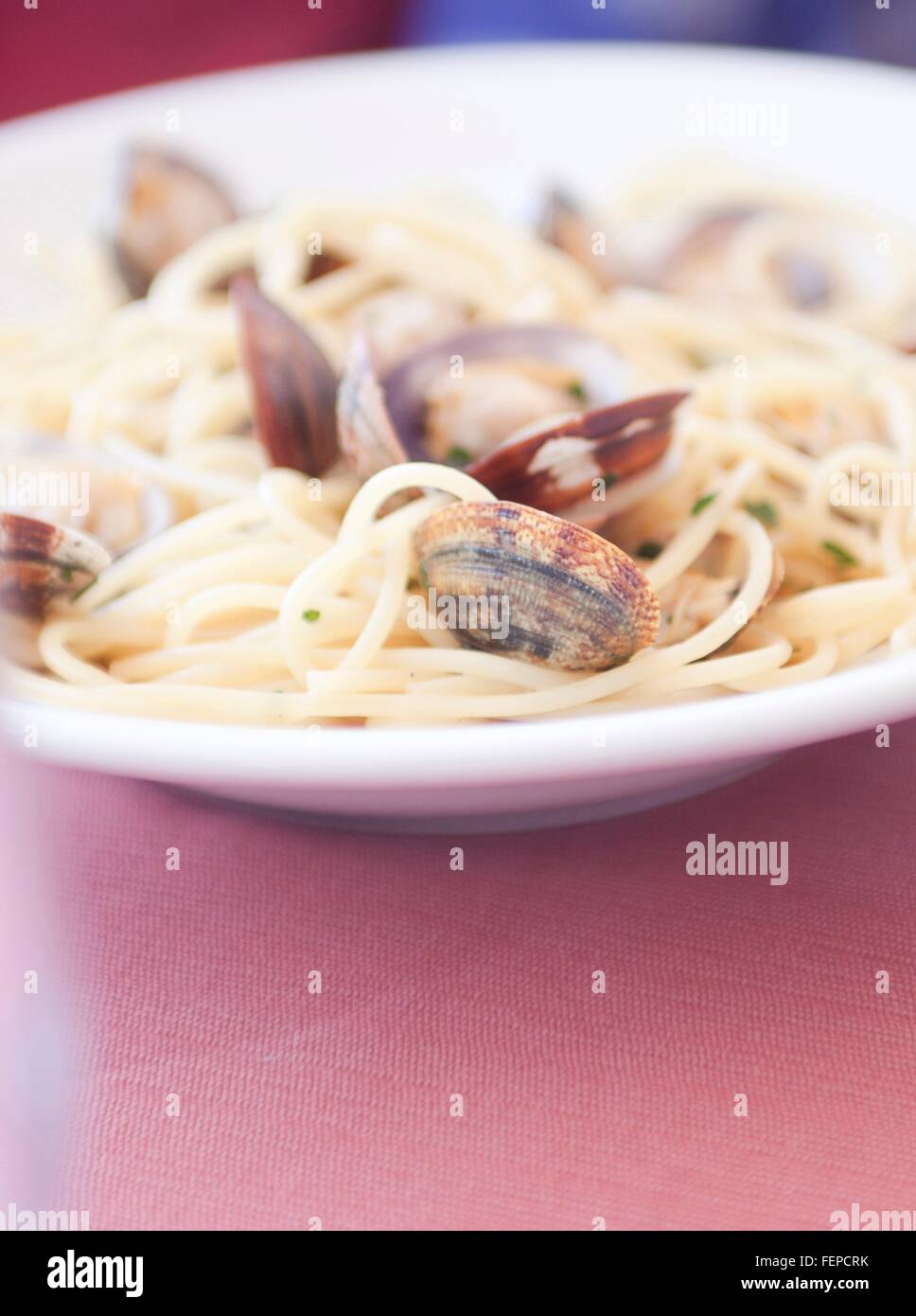 Spaghetti Alle Vongole (Venusmuscheln), Nahaufnahme Stockfoto