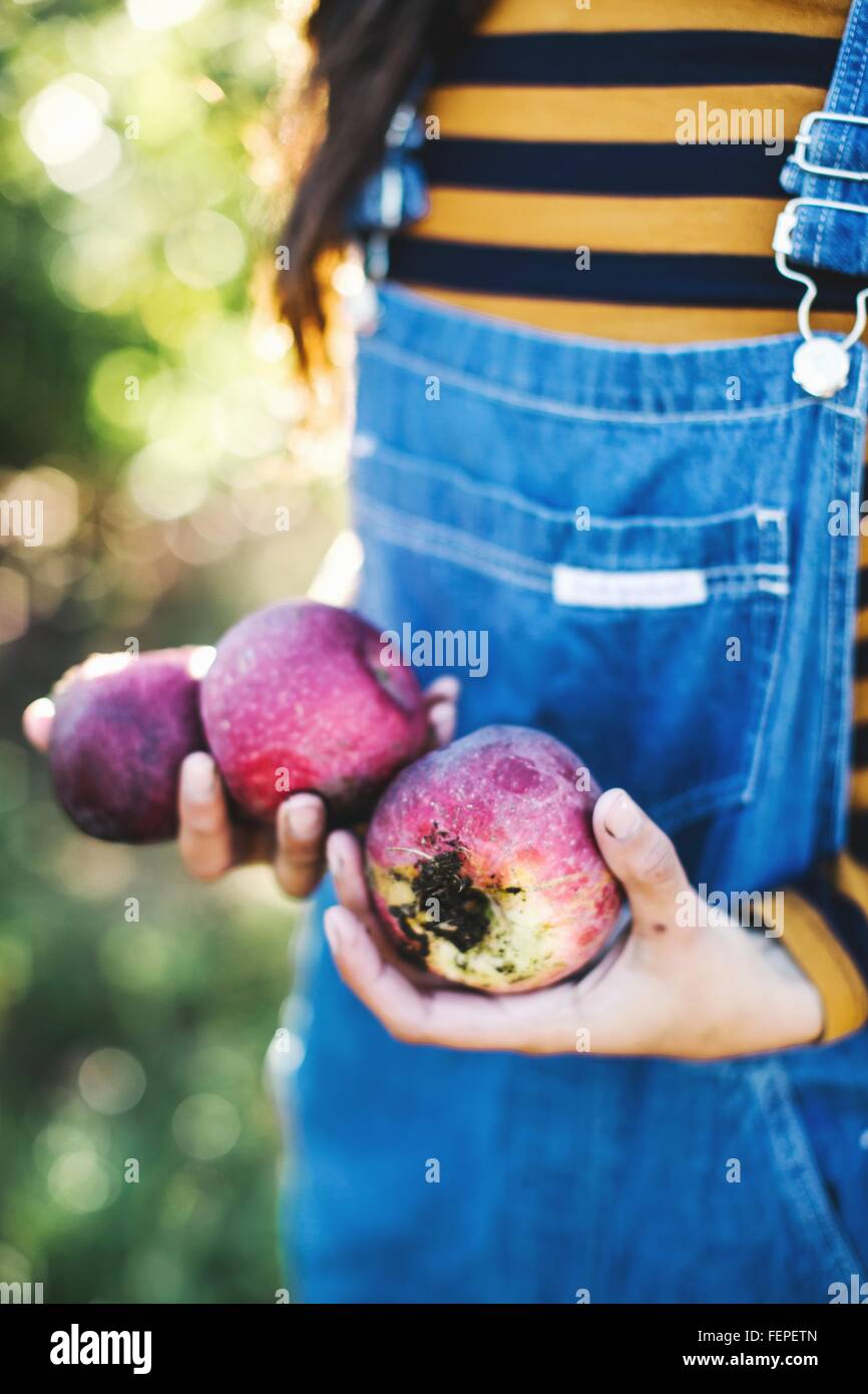 Junge Frau, in ländlicher Umgebung, mit Äpfel, Mittelteil Stockfoto