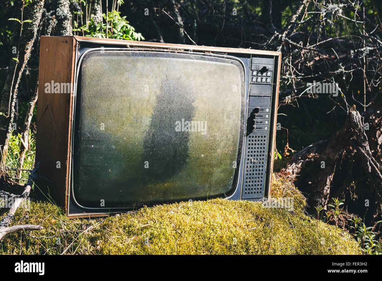 Alte analoge Fernsehen im Wald Stockfoto