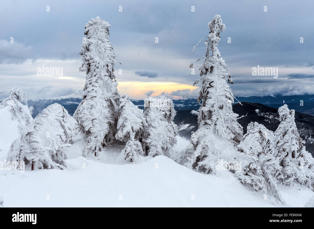 Wozu Lässt Sich Frisch Gefallener Schnee Verwenden www.alamy.de