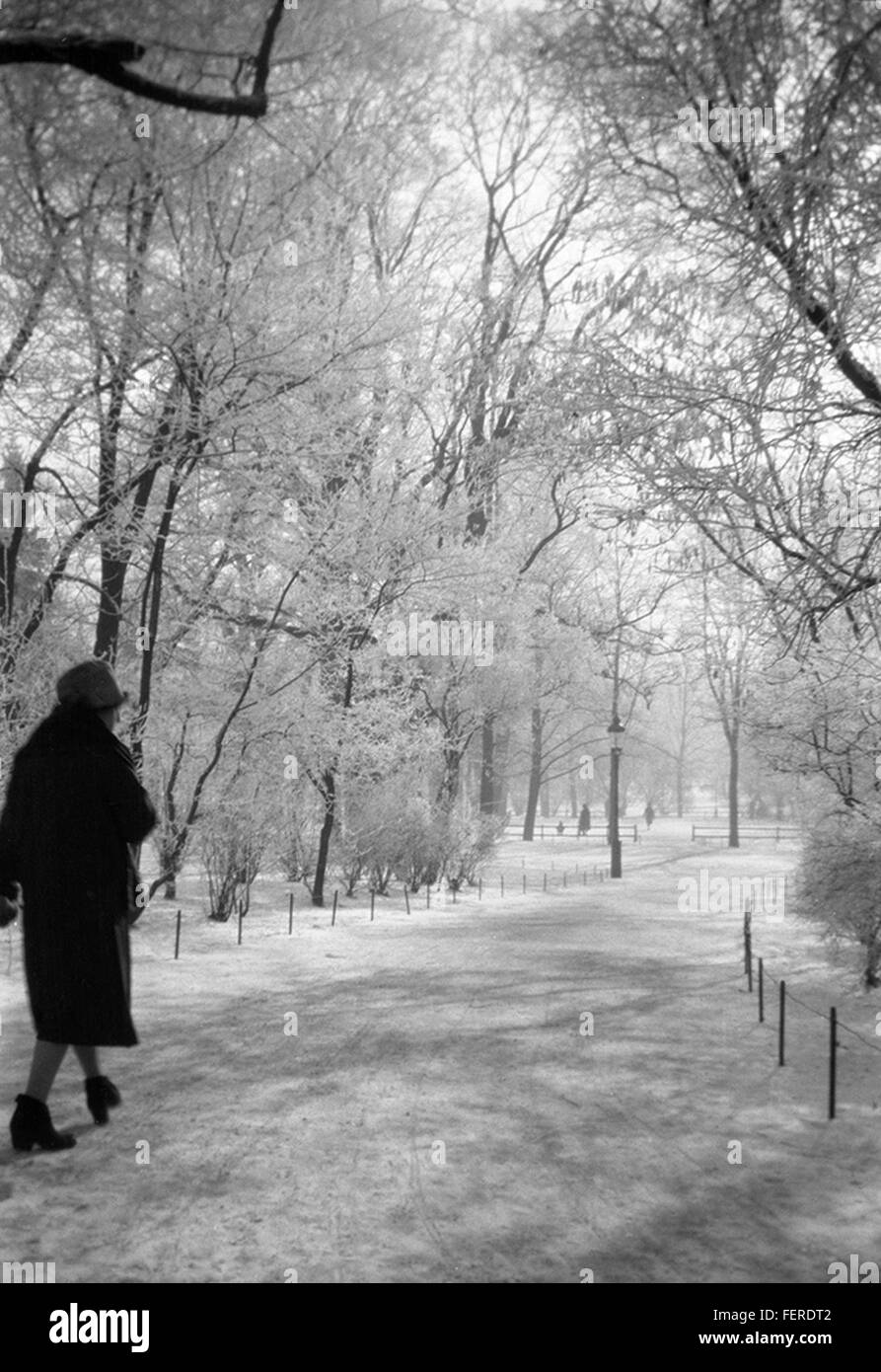 Eine winterliche Spaziergänge im Humlegården Park, Stockholm, Schweden einen winterlichen Spaziergang im Park Humlegården, Stockholm, Schweden Stockfoto