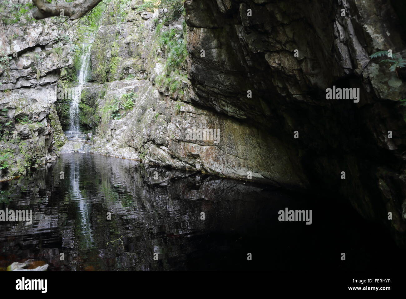 Wasserfall in Leoparden Kloof, Bettys Bay Stockfoto