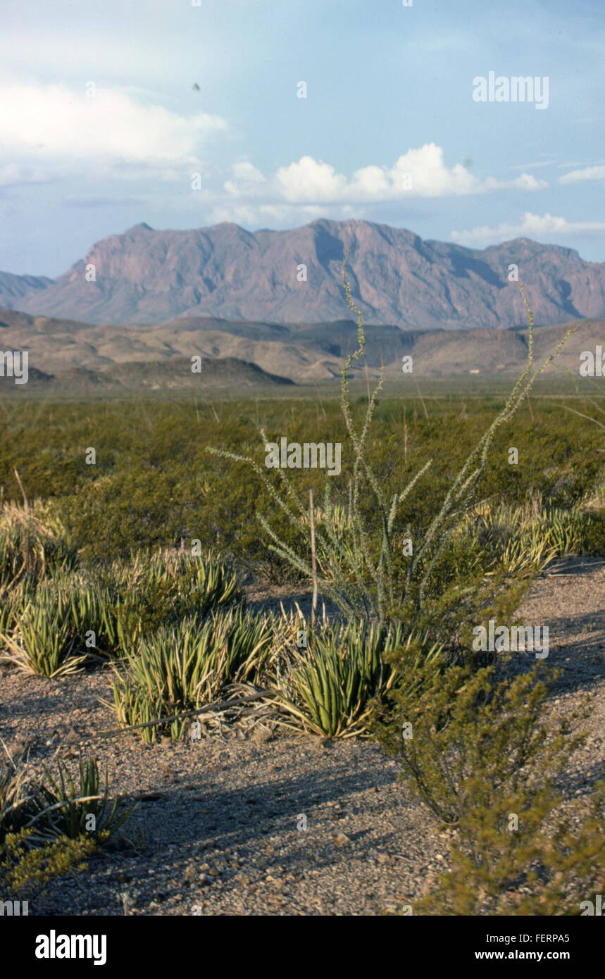 Dieser Titel bezieht sich wahrscheinlich auf eine Darstellung oder Darstellung von Texas, die seine weite Landschaft, historische Wahrzeichen und kulturelle Bedeutung zeigt. Texas ist bekannt für seine reiche Geschichte, vielfältige Landschaften und sein kulturelles Erbe. Stockfoto