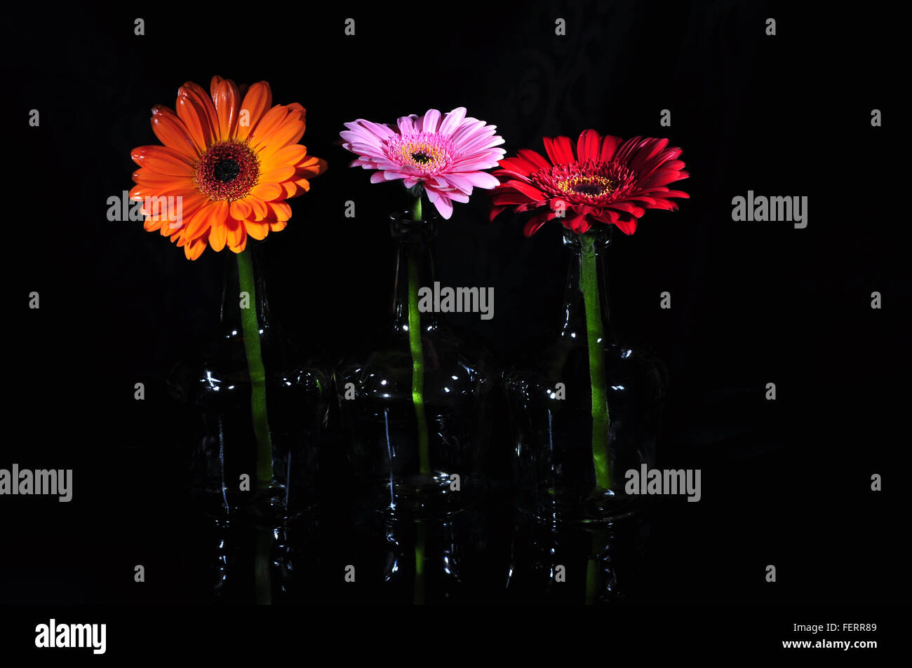 Bunte Blumen In Flaschen auf schwarzem Hintergrund Stockfoto