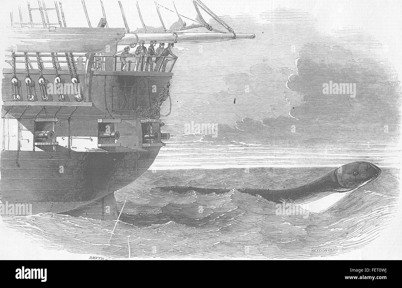 Tiere-Seeschlange unterhalb Daedalus 1848. Illustrierte London News Stockfoto