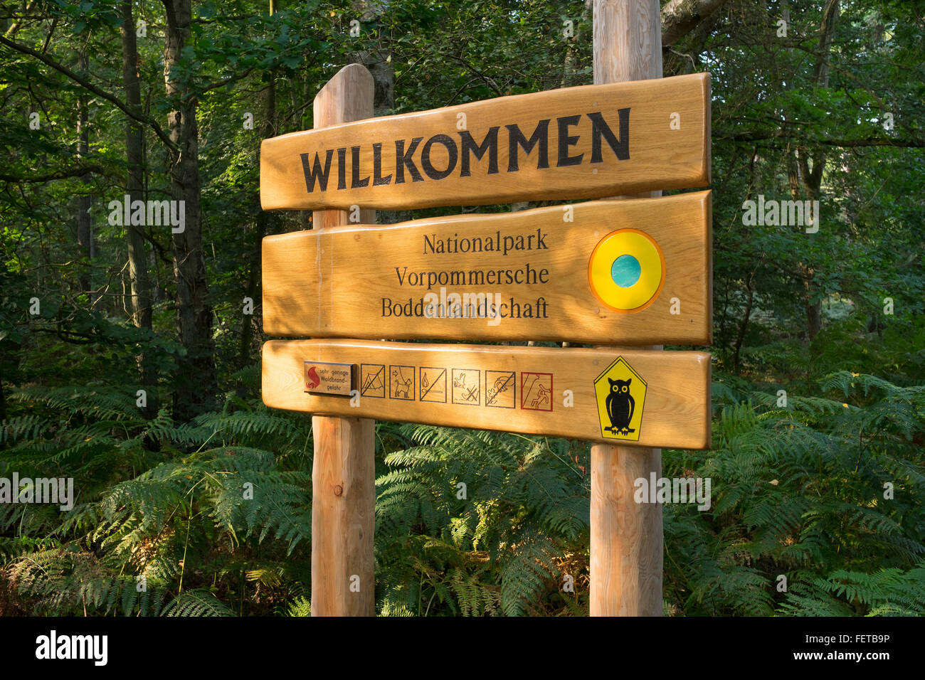 Wegweiser, Nationalpark, Darßwald, Darß Wald, Darß, Fischland-Darß-Zingst, Western Region Nationalpark Vorpommersche Stockfoto