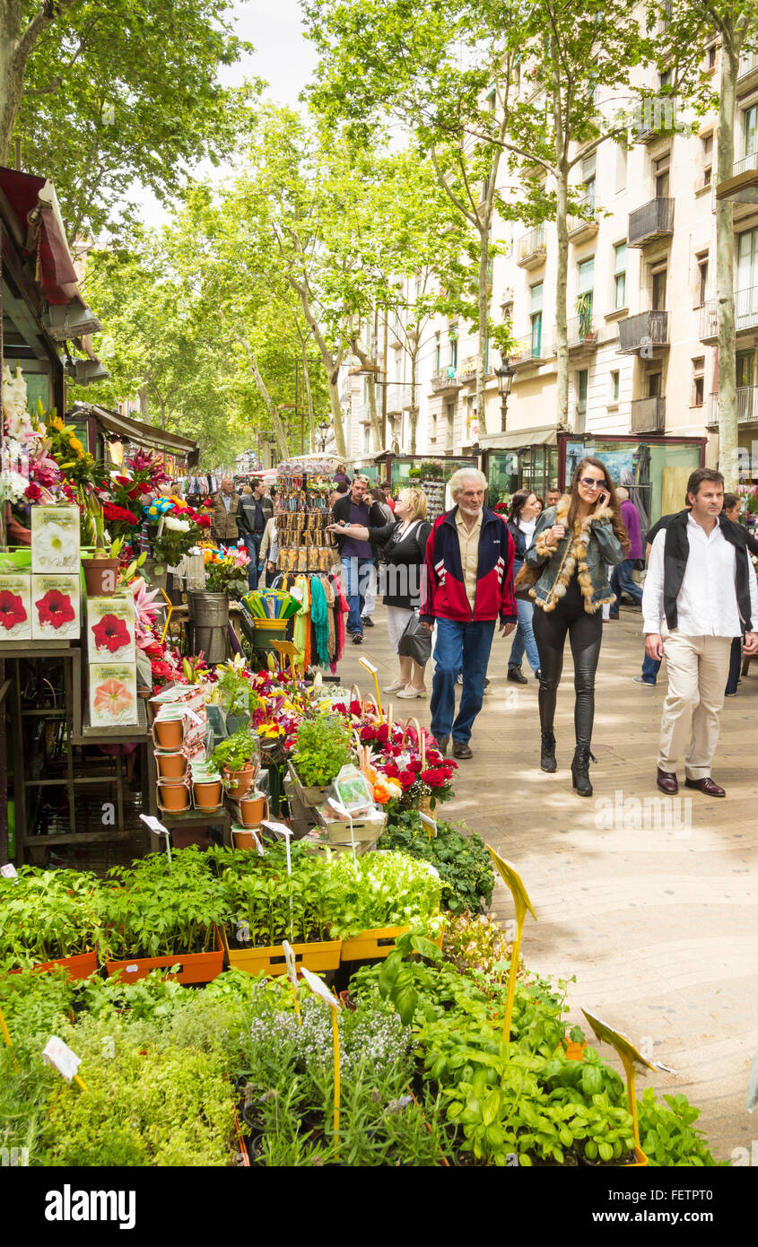 Blume Stand auf den Ramblas in Barcelona, Spanien, Europa Stockfoto