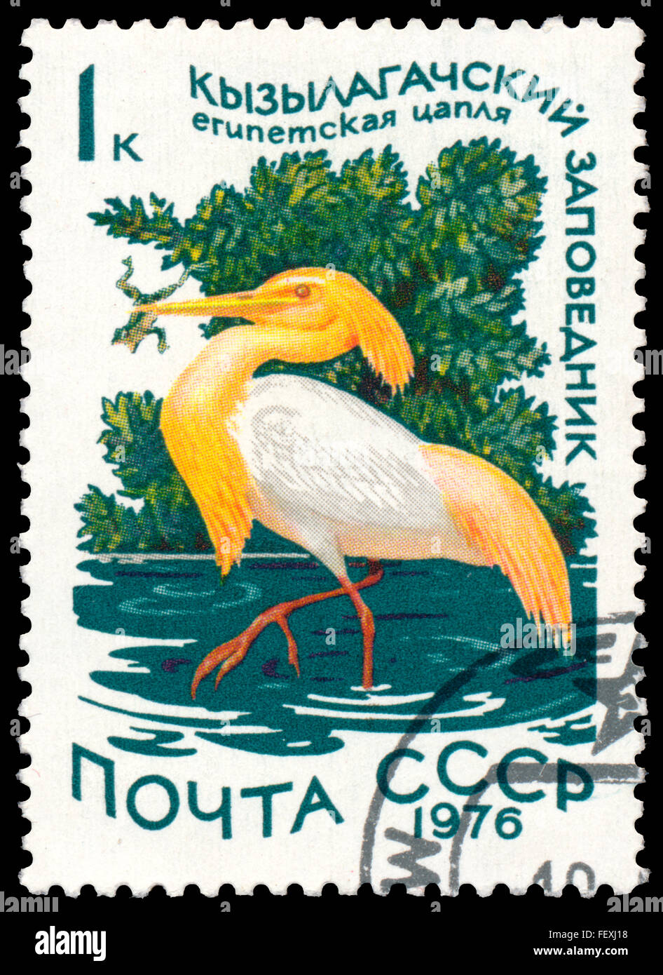 Russland - ca. 1976: eine Briefmarke gedruckt in Russland zeigt Vogel Kuhreiher Stockfoto