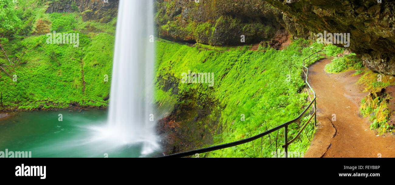 Ein Fußweg hinter den Wasserfällen von Süden in die Silver Falls State Park, Oregon, USA. Stockfoto