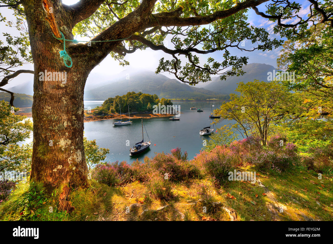 Anfang Herbst Szene mit Blick auf Bucht, Bischöfe Argyll Stockfoto